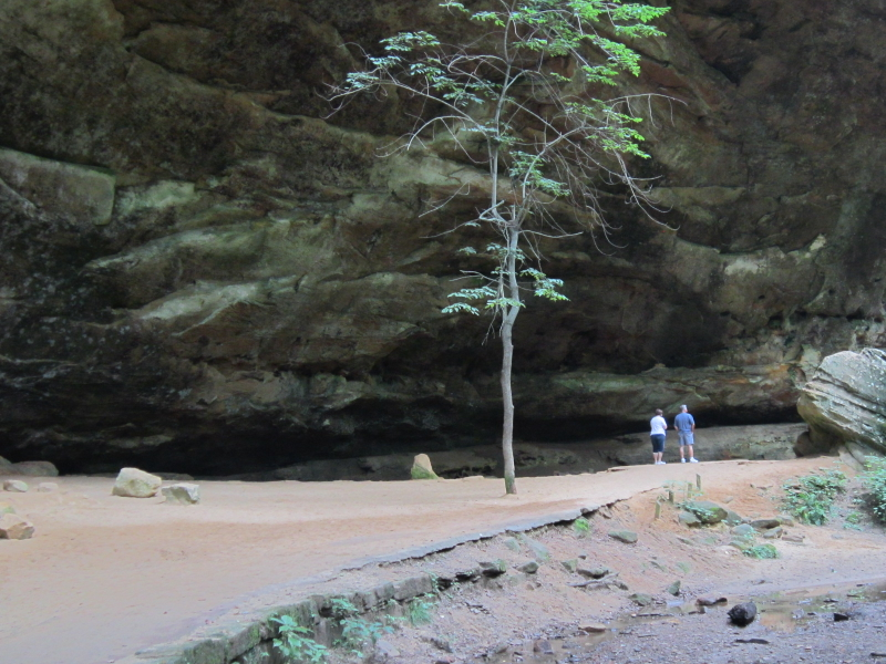 Illustration for article titled Final installment: Ash Cave and Cedar Falls
